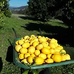 Quinta Do Mirante