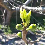 Quinta Do Mirante *