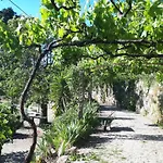 Quinta Do Mirante *