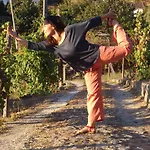 Quinta Do Mirante Feriehus Castelo de Paiva