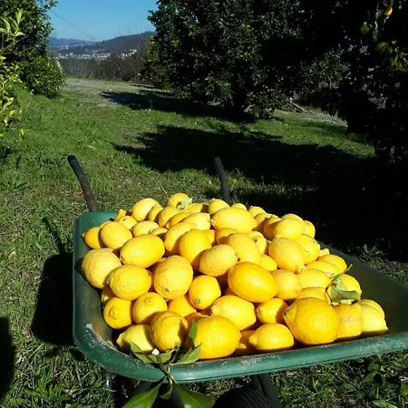 Quinta Do Mirante