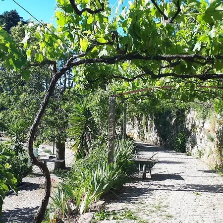 Quinta Do Mirante *