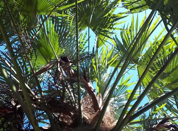 Hébergement de vacances Quinta Do Mirante Castelo de Paiva