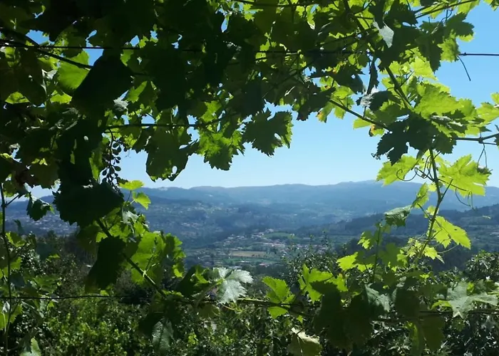 Quinta Do Mirante Hébergement de vacances Castelo de Paiva