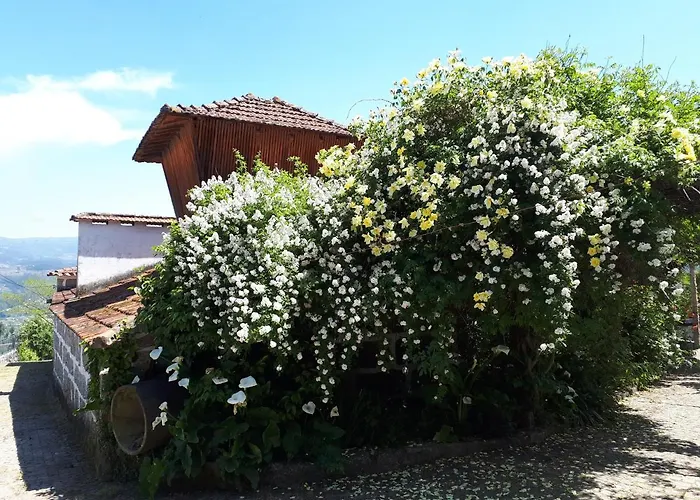 Quinta Do Mirante Castelo de Paiva