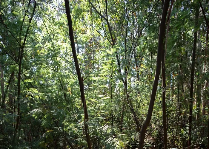 Hébergement de vacances Quinta Do Mirante *