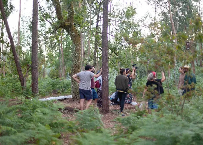 Quinta Do Mirante Hébergement de vacances