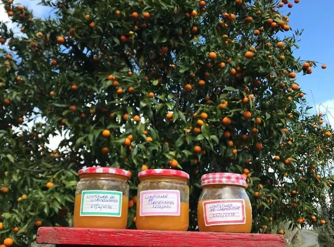 Quinta Do Mirante Hébergement de vacances Castelo de Paiva