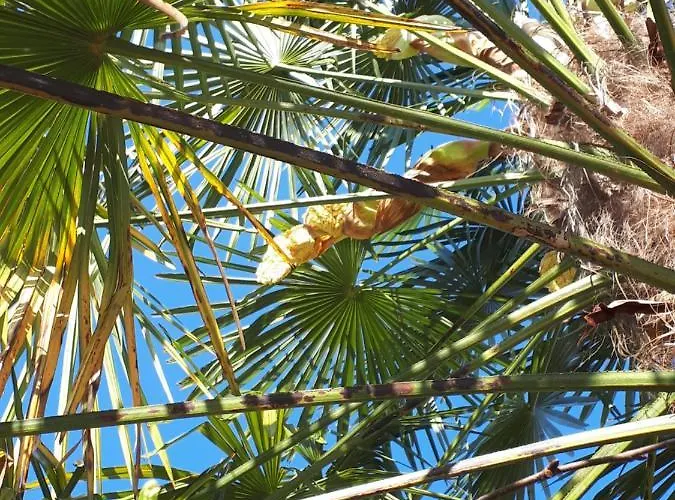 Quinta Do Mirante Hébergement de vacances *