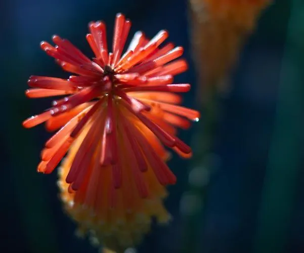 Quinta Do Mirante Hébergement de vacances
