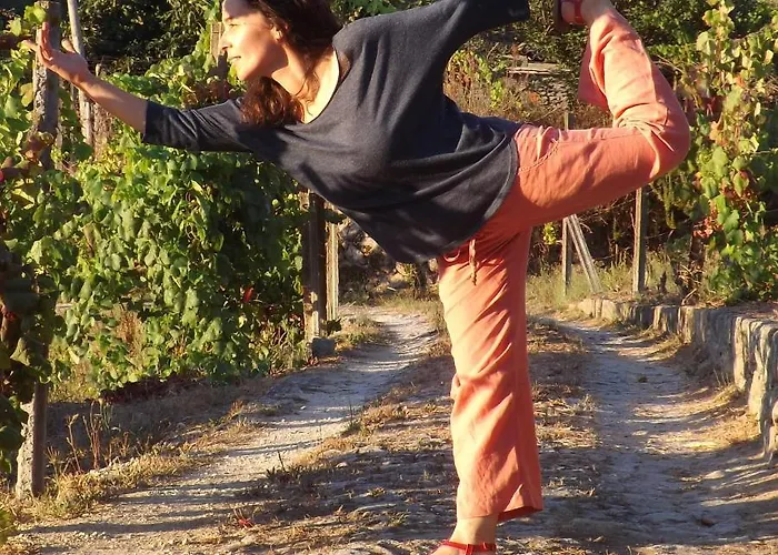 Quinta Do Mirante Hébergement de vacances Castelo de Paiva